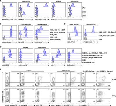 Allo-Specific Humoral Responses: New Methods for Screening Donor-Specific Antibody and Characterization of HLA-Specific Memory B Cells